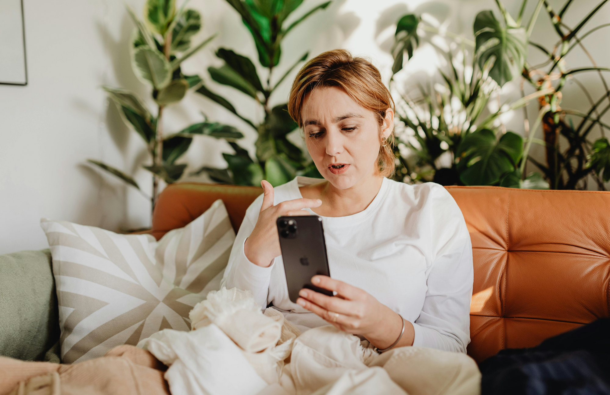 What is the difference between estrogen and phytoestrogen?