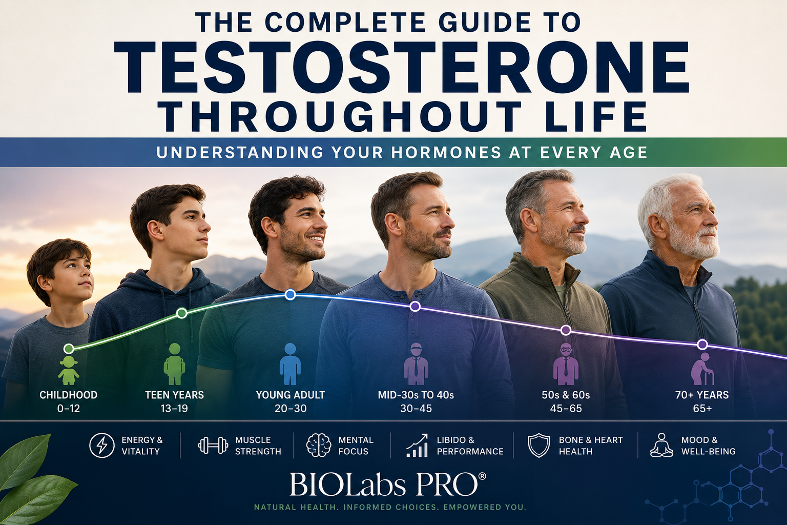 The Complete Guide to Testosterone Throughout Life: Understanding Your Hormones at Every Age