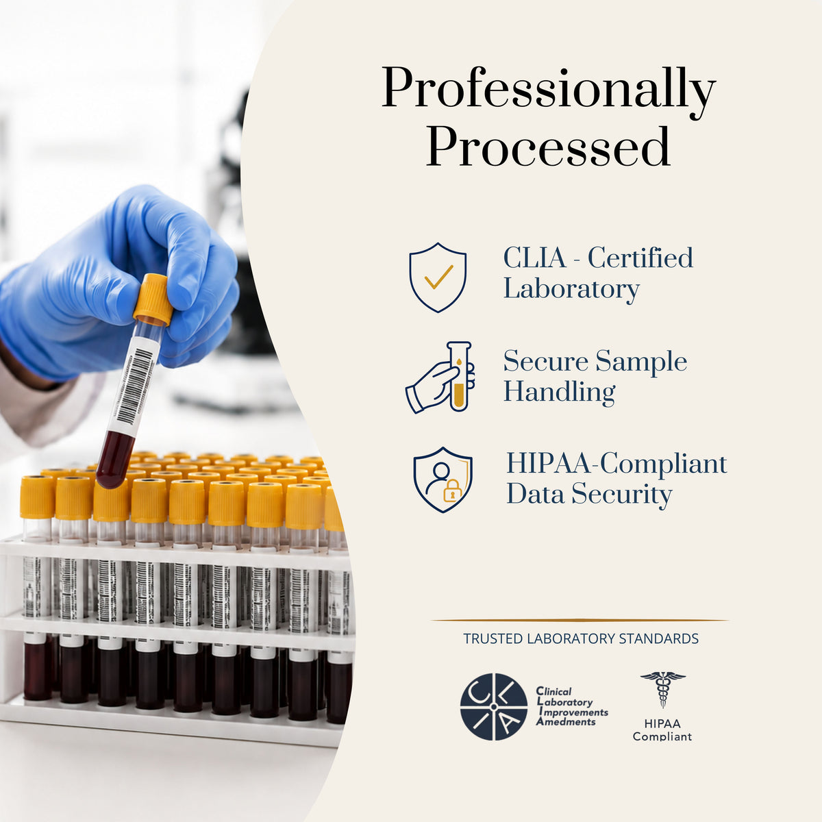 BIOInsight Vitamin D Test, USA Lab Tested