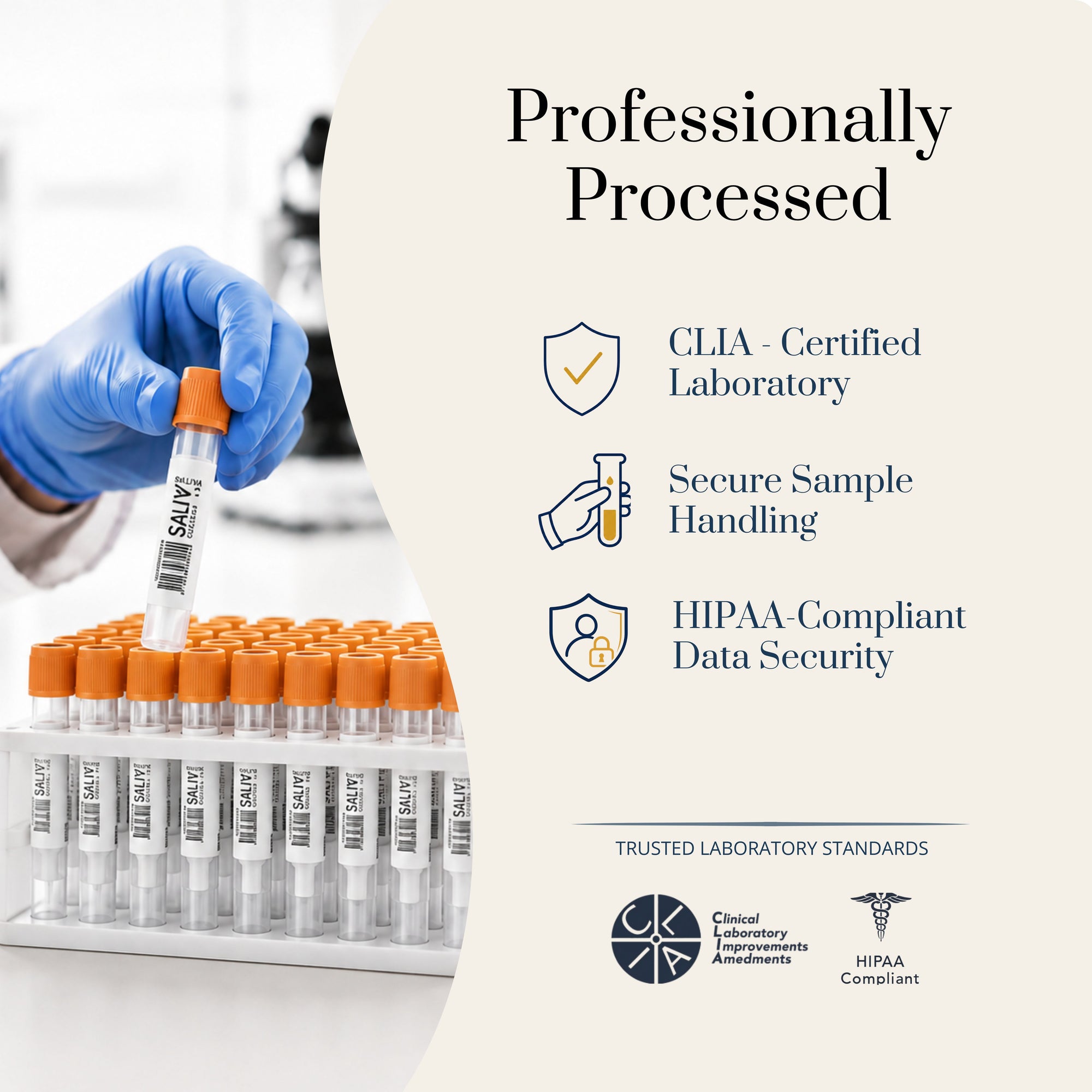 BIOInsight Essential Mens Hormone Panel by BIOLabs PRO, At-Home Saliva Hormone Testing Designed for Men