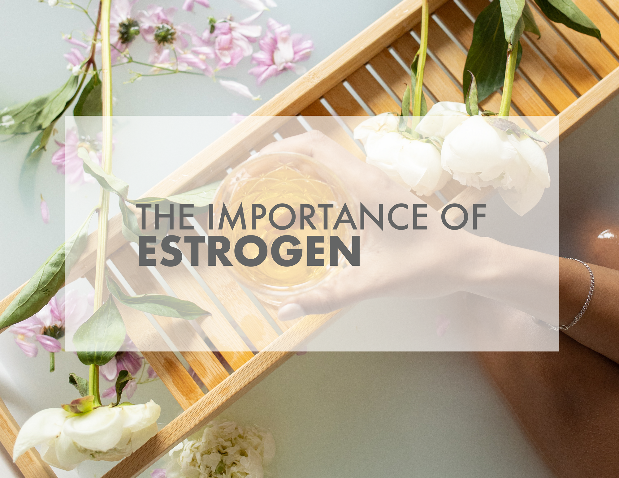 FREE Ebook - The Importance Of Estrogen